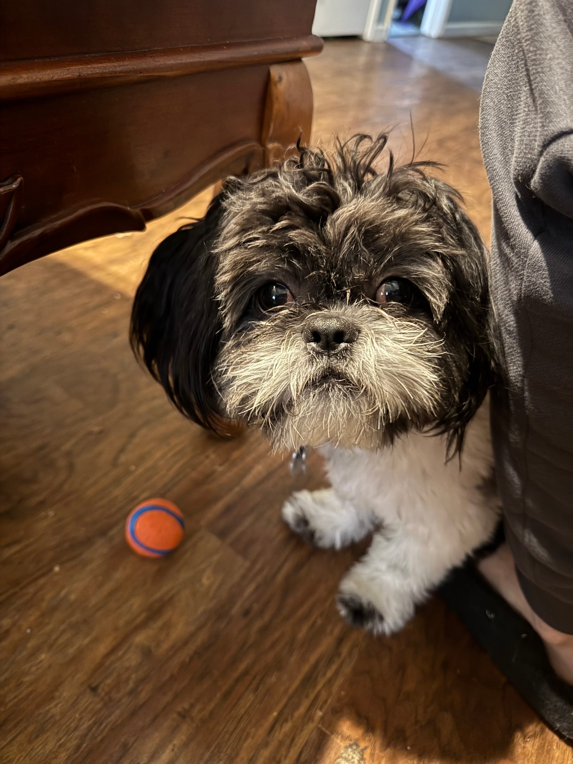 Letter from the Not-Yet-Become to the Becoming