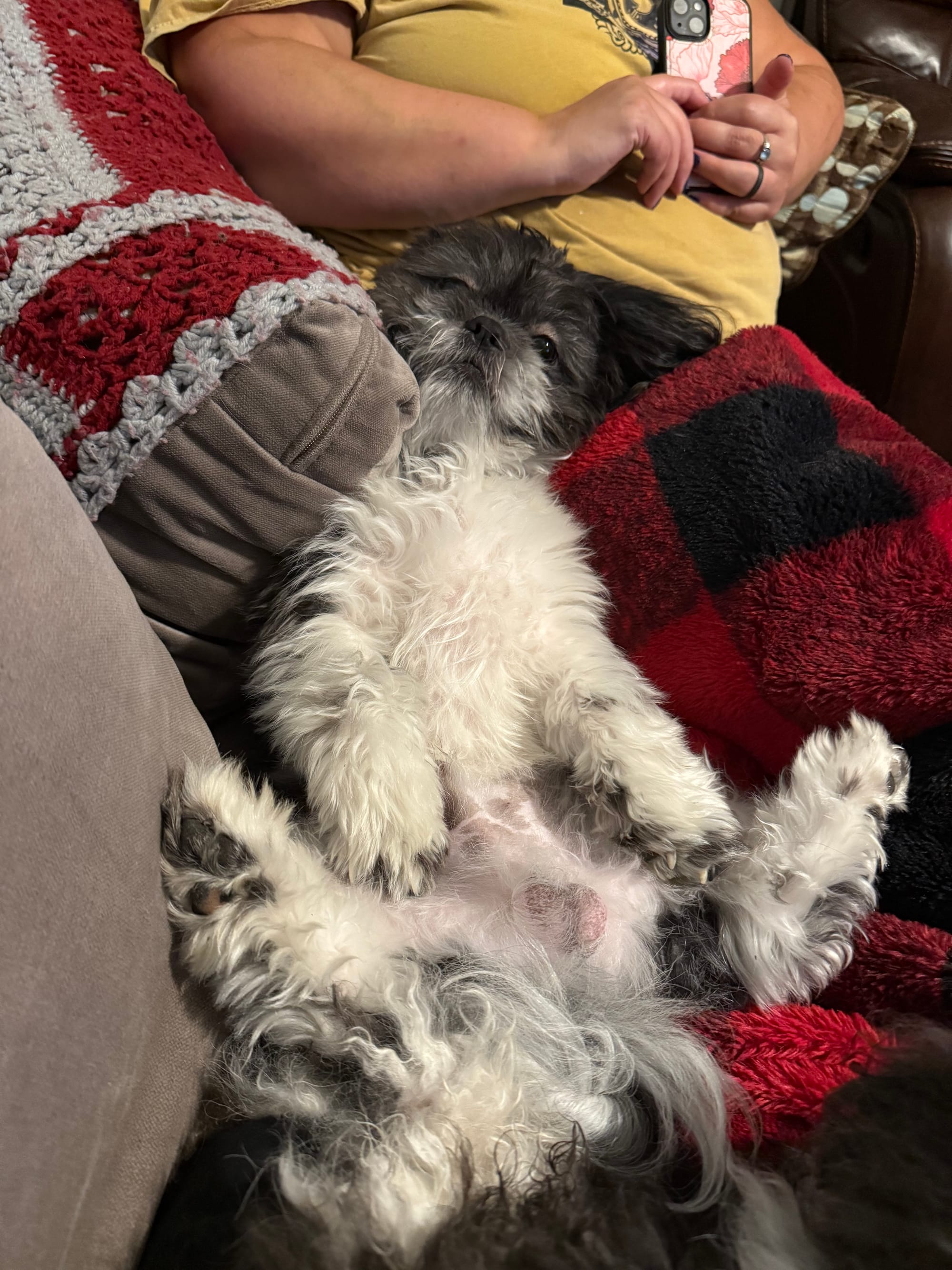 Madness and Love Mixed: Part 1 — The Holy Fools