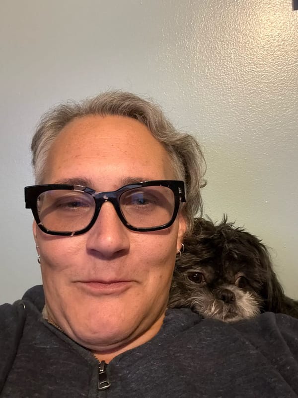 The Night and the Wind