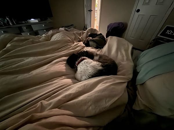 Prayer as Passionate Communion