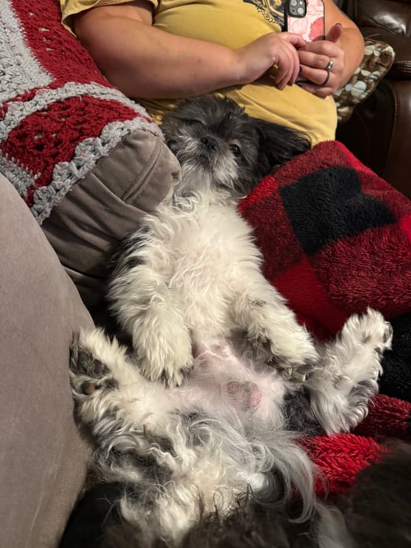 Madness and Love Mixed: Part 1 — The Holy Fools