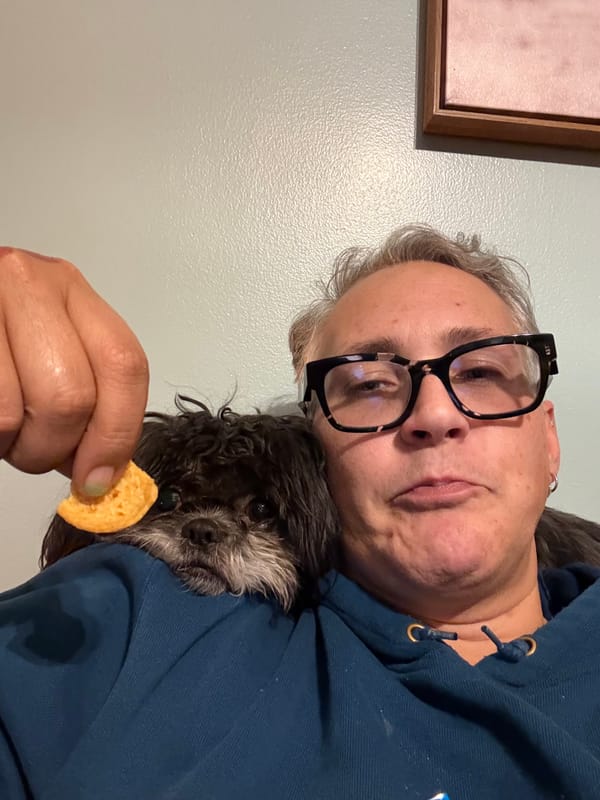 What does it mean to be alive?