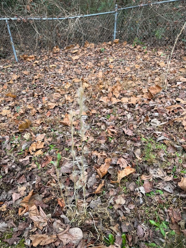 Skeleton Key to Work